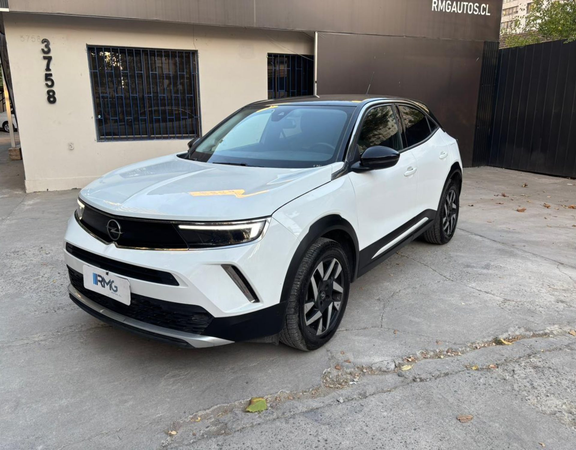 WhatsApp Image 2026-02-16 at 8.25.22 PM